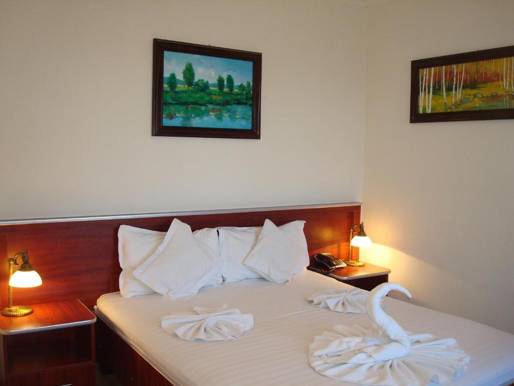 Hotel Ami Băile Felix Room photo